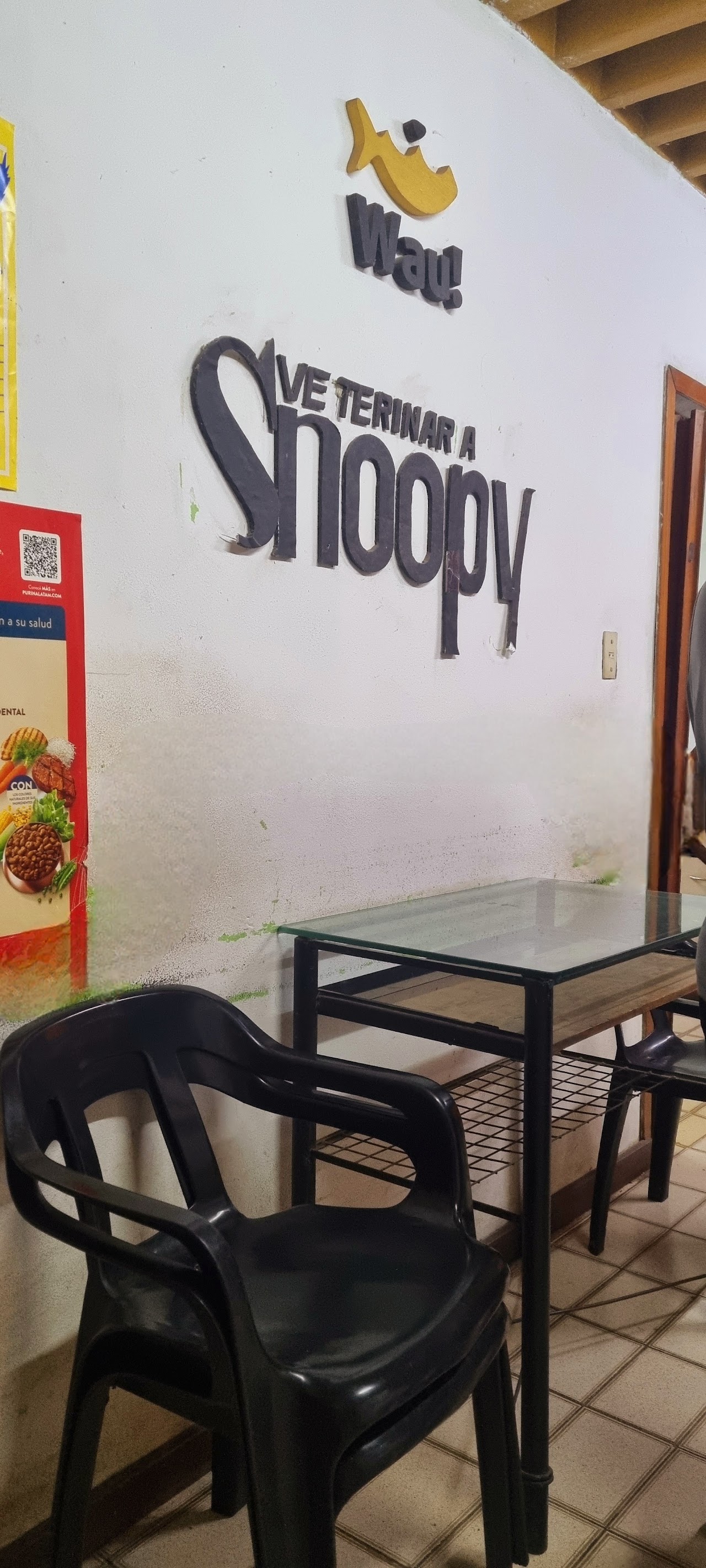 Identificación de marca Veterinaria Snoopy en la pared del local