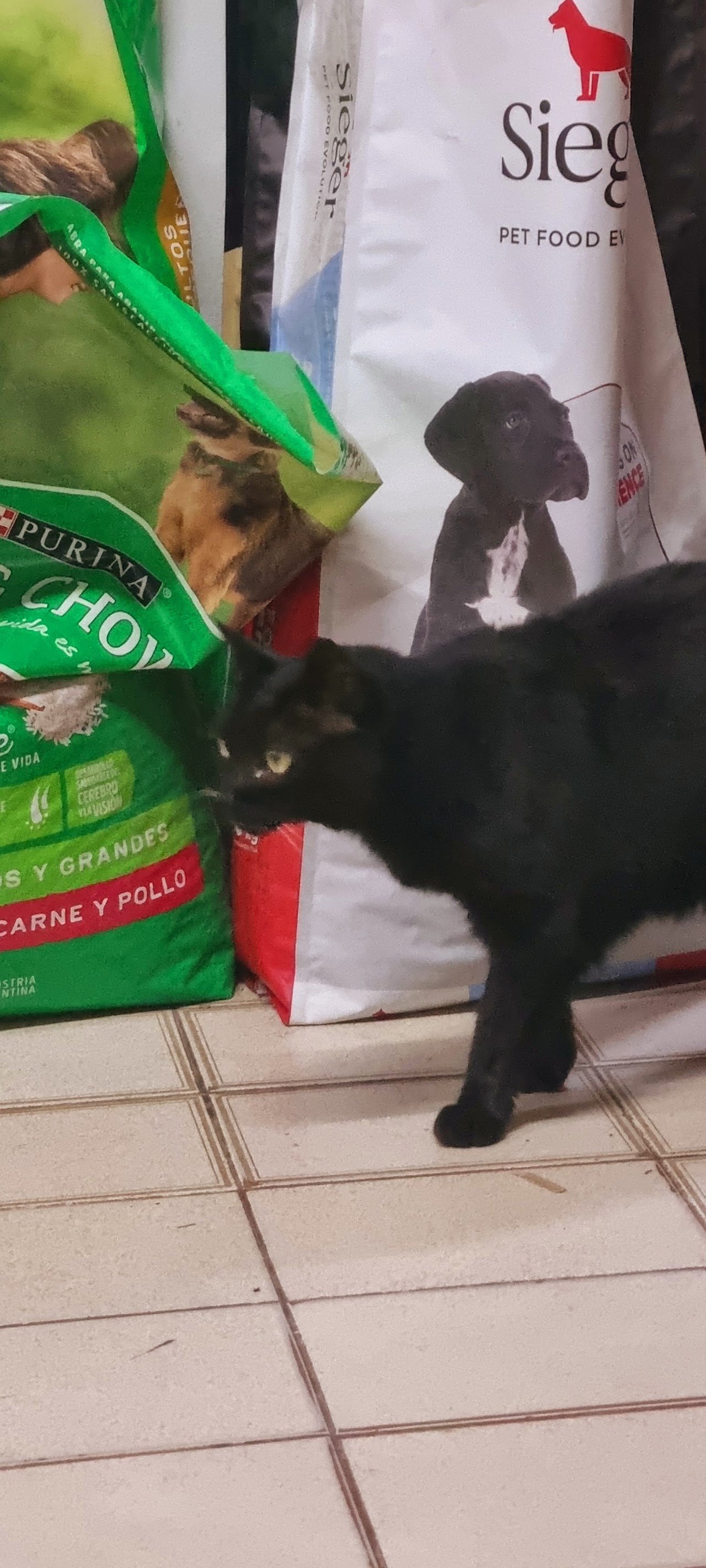 Interior del local de Veterinaria Snoopy con alimentos para mascotas