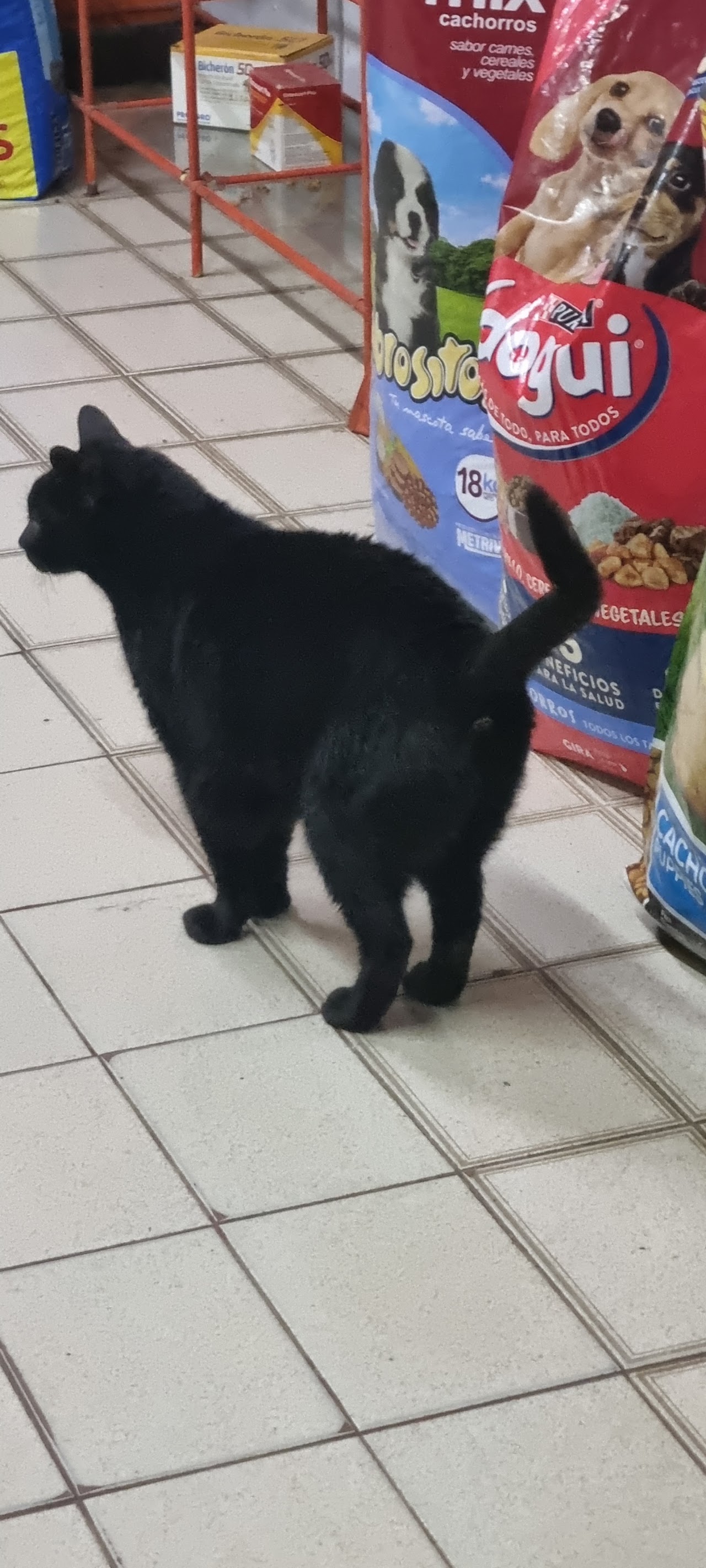 Alimentos balanceados y productos para mascotas en Veterinaria Snoopy
